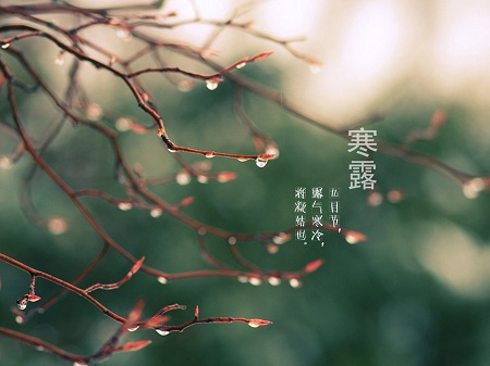 &#20061;&#28216;&#23089;&#20048;