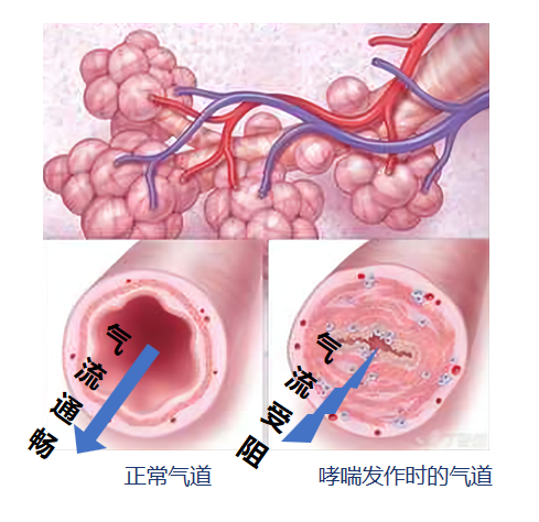 &#20061;&#28216;&#23089;&#20048;