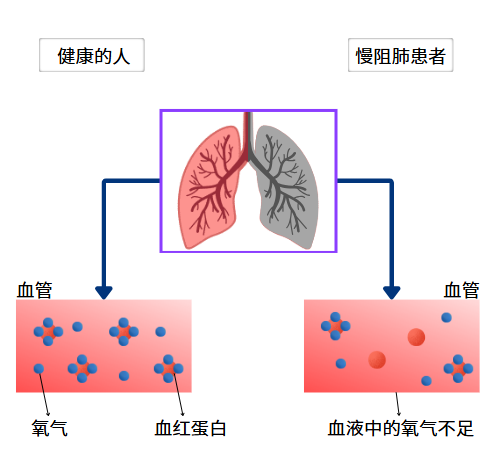 &#20061;&#28216;&#23089;&#20048;